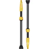 Lezyne TLR Fiets Tubeless Ventiel, Weg, Gravel, Mountainbike, Presta, Ventielkern Verwijderaar