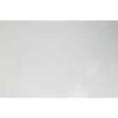 Göldo Pickguard blank 45 x 30cm wit, eenlagig - Pickguard