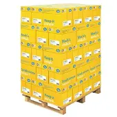 Data Copy Kopierpapier Everyday Printing DIN A4 80 g/qm 500 Blatt
