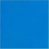 Bruynzeel Ecola plakkaatverf fles 16ml lichtblauw 501