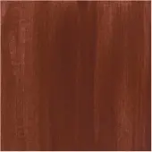 Bruynzeel Ecola plakkaatverf fles 16ml brown 400