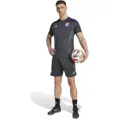 Adidas Olympique Lyon Trainingsset 2025-2026 Donkergrijs Goud Rood Blauw
