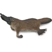 Collecta Wilde dieren vogelbekdier 9 cm