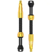 Lezyne Pro Tubeless 60 Mm Kleppen