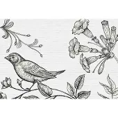 A.S. Création Fotobehang birdy 3 DD110426 Livingwalls Walls by Patel | Fotobehang online webshop