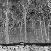 Konkurrent Pile - Sunshine And Balance Beams (LP)