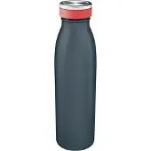Leitz Cosy Dubbelwandige Geïsoleerde Waterfles, 500 ml - BPA-Vrij - Vaatwasserbestendig - Ideaal voor Thuiskantoor/Thuiswerken - Fluweel Grijs