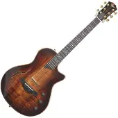 Taylor Guitars Taylor T5z Custom Koa