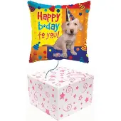 Sempertex Folie ballon Happy Birthday hond helium gevuld in mooie doos.