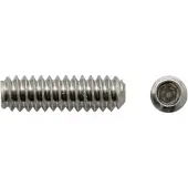 Göldo Madeschroeven Inbus 9 mm , nikkel - Gitaaronderdeel
