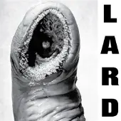 Kuroneko Media Cnt THE POWER OF LARD