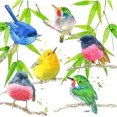 Ppd Lunch servetten - Bird Paradise