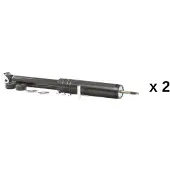 RIDEX 854S20810 Schokdemper
