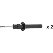 RIDEX 854S20962 Schokdemper