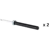 RIDEX 854S20805 Schokdemper