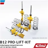 EIBACH E93-35-062-02-20 Schokdemper met veer
