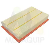 MOTAQUIP LVFA1673 Luchtfilter