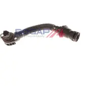 BOGAP B4228625 Radiateurslang