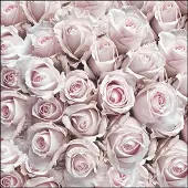 Ambiente Lunch Servetten - Pastel Roses