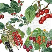 Ambiente - Lunch servetten - Fresh Fruits