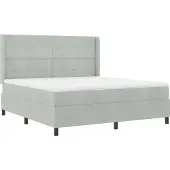 vidaXL Boxspringbed met LED-verlichting, lichtgrijs, 180 x 200 cm, fluweel