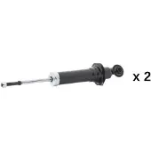 RIDEX 854S20766 Schokdemper