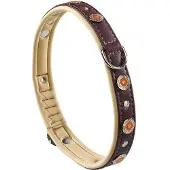 Ferplast Circus 20 Mm 44 Cm Hondenhalsband