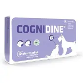 Pharmadiet Cognidine 30 Comp Huisdiersupplement