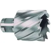 RUKO 108219E Kernboor 19 mm 1 stuk(s)