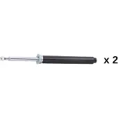 RIDEX 854S21197 Schokdemper