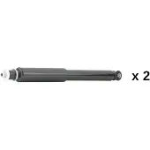 RIDEX 854S20789 Schokdemper