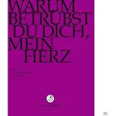 OUTHERE Warum Betruebst Du Dich Mein