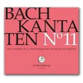 OUTHERE Chor & Orchester Der J.S. Bach-Stiftung, Rudolf Lutz - J.S. Bach: Bach Kantaten No.11 Bwv170, 2 (CD)
