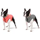 Collar Pet Airyvest Hondenjas