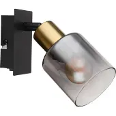 Globo Wandlamp Hollsy Zwart Met Smoke Glas