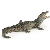 Papo - Crocodile - Bébé