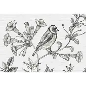A.S. Création Fotobehang birdy 1 DD110416 Livingwalls Walls by Patel | 3D Fotobehang