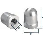Tecnoseal Renault Couach Shaft Nut Zilver 30 mm