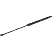 FEBI BILSTEIN 198011 Gasveer achterklep