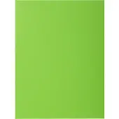 Exacompta ROCK''S 210 Pak van 100 dossiermappen 210g/m2 24x32cm voor A4. - Groen - 210013E