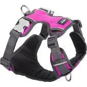 Red Dingo Hondentuig , met vulling, kleur roze, maat M