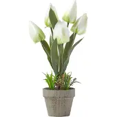 Homescapes kunstbloemen tulpen in cellulose pot 27 cm hoog, wit
