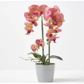Homescapes Kunstmatige Perzik Phalaenopsis Orchidee in Grijze Keramische Pot 58 cm