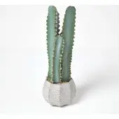 Homescapes Kunstcactus Hylocereus in cementpot, 49 cm hoog