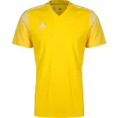 Adidas - Regista 20 Jersey - Teamwear - S - Geel