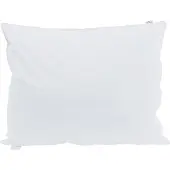 vidaXL Hoofdkussen 2 st 40 x 60 cm Veer Wit