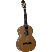 Juan Salvador 6C 4/4-formaat klassieke gitaar