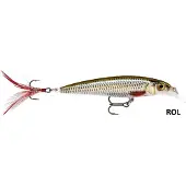 Rapala X-Rap - 6 cm - Live Roach