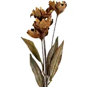 Clayre & Eef Kunstbloem 8x5x60 cm Beige Kunststof
