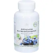 WARNKE Vitalstoffe | Anthocyanen uit bosbessenextract 90 St